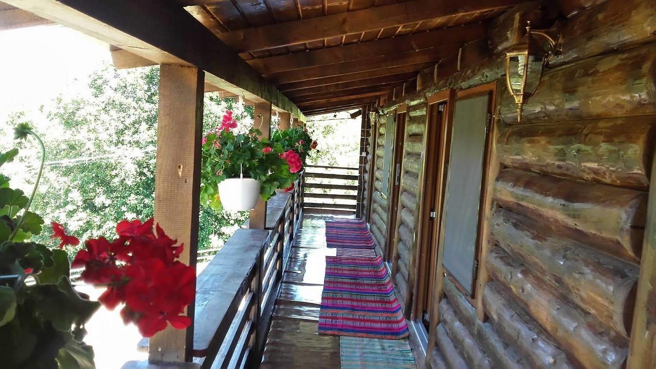 Floare De Maramures 2 Sighetu Marmaţiei 외부 사진